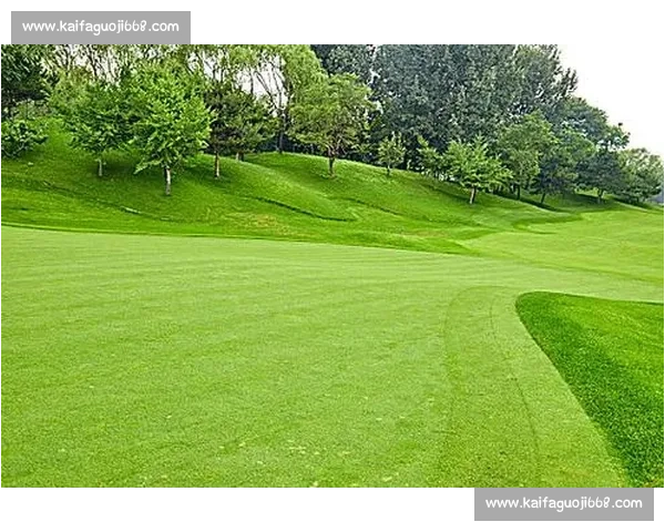 绿茵风云定格瞬间五大联赛经典画面全景图片欣赏之旅视觉盛宴回顾